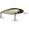 Lucky John Shad X 2 Lucky John Shad X -Fishing Store 10 01 lcj 10063g base 1