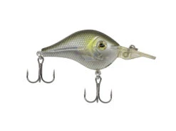 Livingston Lures Shredder