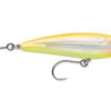 Rapala X-Rap Saltwater SubWalk -Fishing Store 10 01 rpl 10025b 1 1