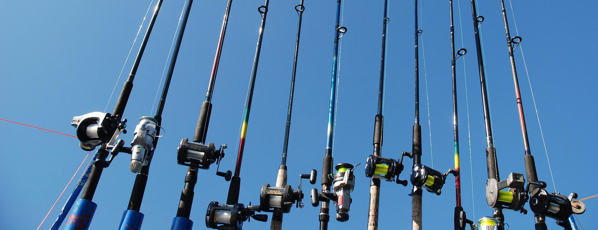 Fishing Store -Fishing Store a fishing rod 525394 1920