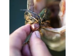 Googan Squad Juicee Jig -Fishing Store b35i5494 1 1