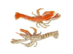 Berkley Gulp! Ghost Shrimp -Fishing Store berkley natuarlwithsparkle gulpghostshrimp 10 30 brk 10003c