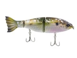 Googan Squad Limited Edition Jekyll Contender -Fishing Store googansquad shimmershad contender 10 01 ggs 10016h