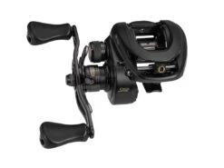 Lews BB1 Pro Speed Spool Baitcasting Reel -Fishing Store lews bb1 v5