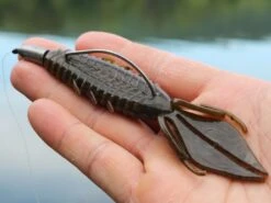 X Zone Lures Pro Series Adrenaline Bug 7 X Zone Lures Pro Series Adrenaline Bug -Fishing Store lifestyle adrenaline andrewnordbye 01