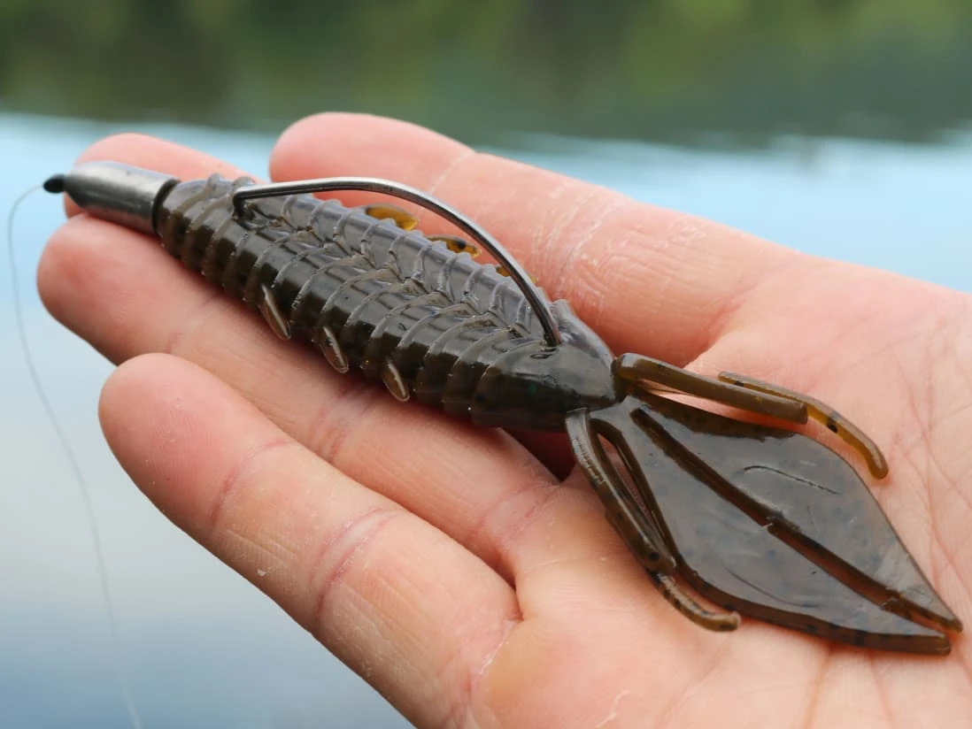 X Zone Lures Pro Series Adrenaline Bug 5 X Zone Lures Pro Series Adrenaline Bug - Image 3