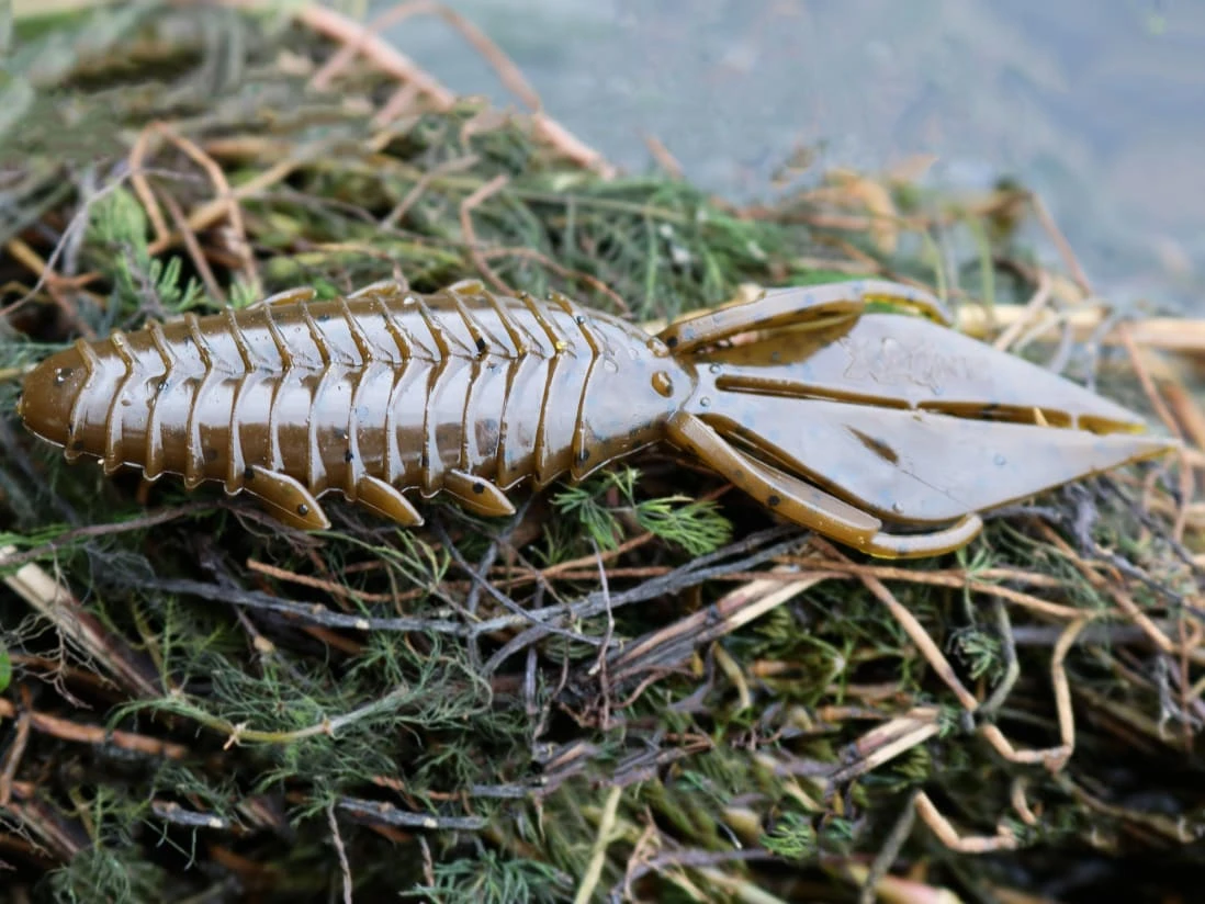 X Zone Lures Pro Series Adrenaline Bug 4 X Zone Lures Pro Series Adrenaline Bug - Image 2