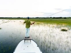 Badfish Stono Short Sleeve Button Up Shirt -Fishing Store lifestyle badfish stono commodoreshirt 50 01 bdf 10000