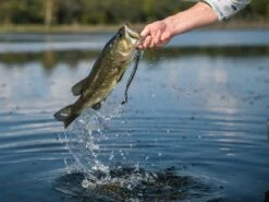 Googan Baits Blazin' Worm -Fishing Store lifestyle blazinworm googanbaits bt6a4961