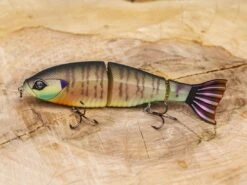 Googan Squad Contender 11 Googan Squad Contender -Fishing Store lifestyle contender 01