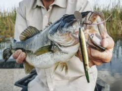 Z-Man Hellraizer 8 Z-Man Hellraizer -Fishing Store lifestyle hellraizer zman fishmouth 1