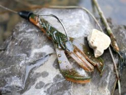 Karl's Amazing Baits Hoss Craw 3.8" -Fishing Store lifestyle hosscraw andrewnordbye 02