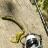 Karl's Amazing Baits Hustler Worm -Fishing Store lifestyle hustlerworm 04