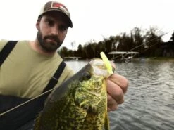 Z-Man Micro TRD -Fishing Store lifestyle microtrd zman glowchartreuse 1