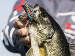 Z-Man Midwest Finesse Swim Jig 11 Z-Man Midwest Finesse Swim Jig -Fishing Store lifestyle midwestfinesseswimjig zman bluegill 2