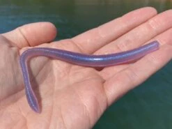 Z-Man SMH WormZ -Fishing Store lifestyle zman smhwormz 1