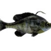Savage Gear Pulse Tail RTF Bluegill -Fishing Store pulsetail rtf bluegill ghostgill 1