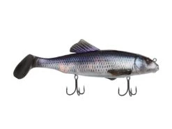 Savage Gear Sucker -Fishing Store savagegear ciscoflash sucker 10 35 svg 10109b