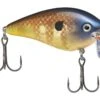 Strike King KVD 2.5 Wake Bait 1 Strike King KVD 2.5 Wake Bait -Fishing Store strikeking bluegill kvdwakebait 10 01 stk 10015a 1